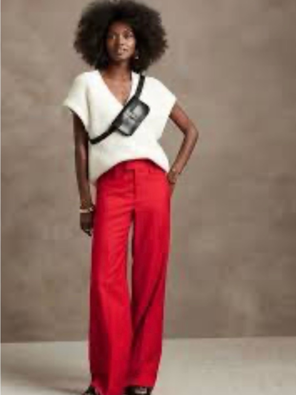 Banana Republic Lido Wide-Leg Wool Women's Trousers